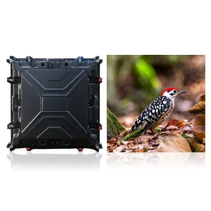 A black electronic device next to an image of a woodpecker on the ground among leaves.