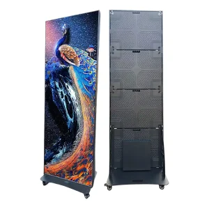 LED display stand featuring a colorful peacock design on one side and a plain black back.