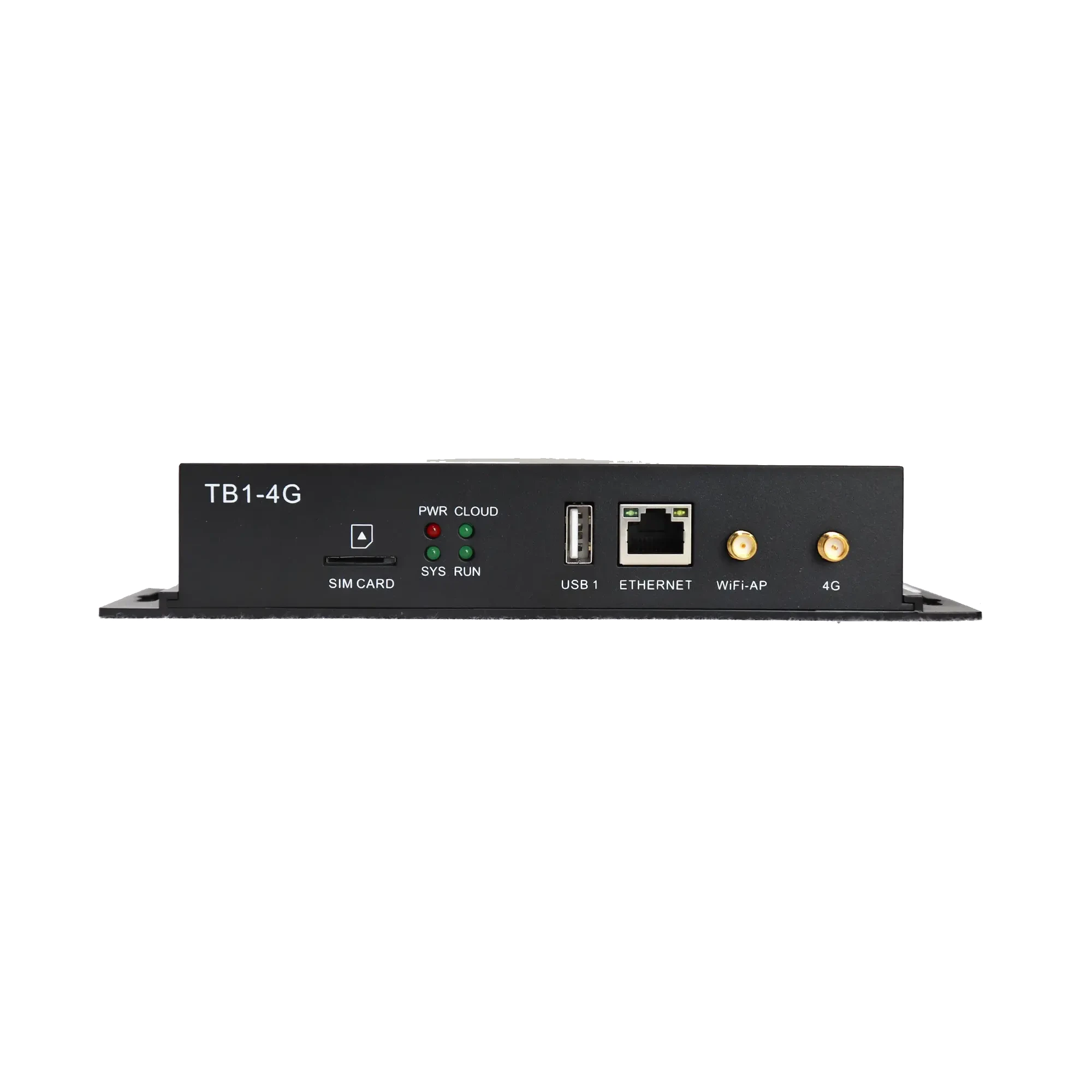 TB1-4G network device with various ports and indicator lights on the front panel.